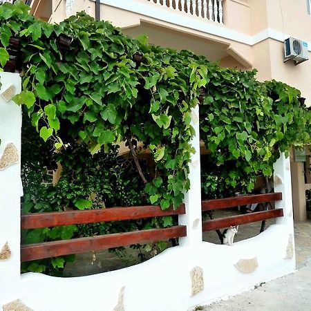 بودغوريتْسا Apartments Papillon المظهر الخارجي الصورة