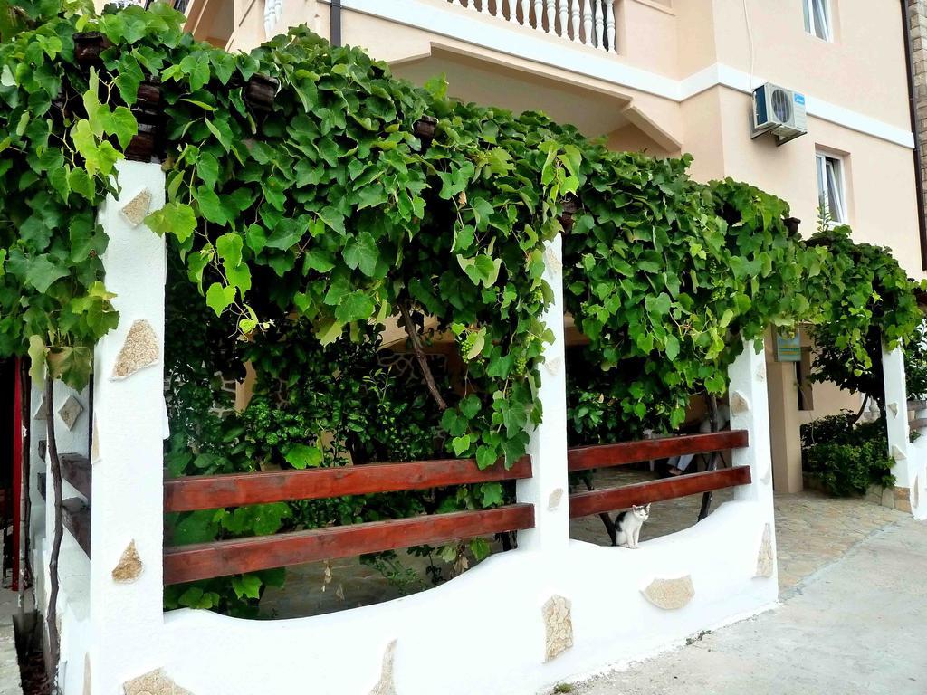 بودغوريتْسا Apartments Papillon المظهر الخارجي الصورة
